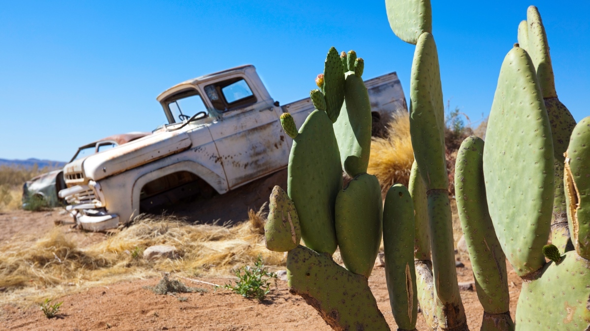 Rusty old pick-up truck