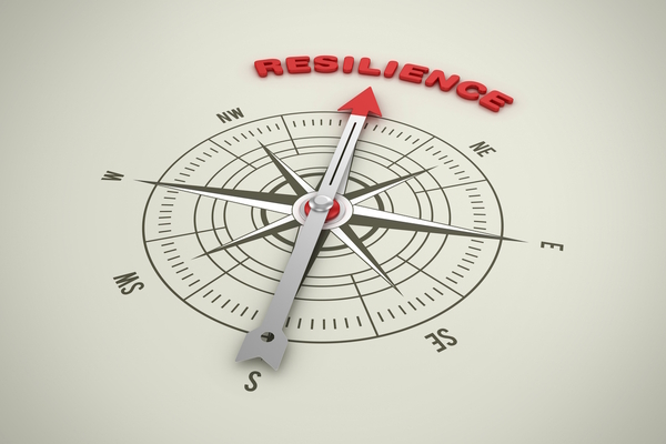 Implementing predictive resilience