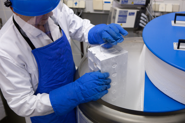 California sperm bank says cyber attack compromised patients' data