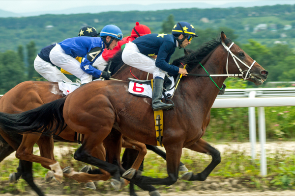 British Horseracing Authority shuts London office after IT incident
