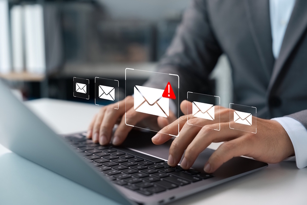 The emergence of cyber-fraud