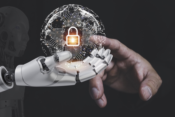 Safeguarding AI adoption