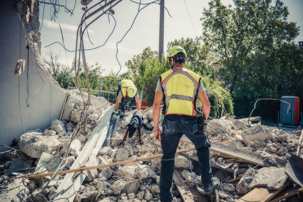 NSW Reconstruction Authority reports data breach linked to former contractor’s use of AI platform