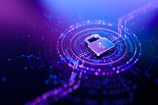 Optimise or purchase?