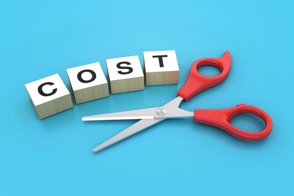 Cyber-security: cost or strategic necessity?