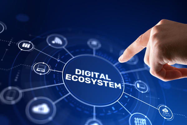 Beyond the perimeter in a distributed cyber-ecosystem